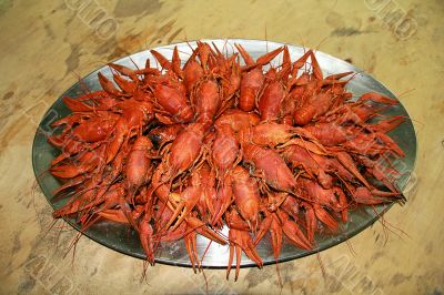 Red boiled crawfishes in oval dish
