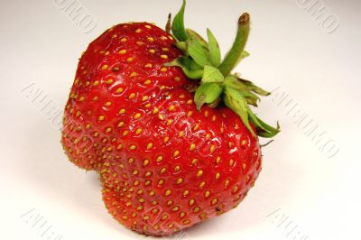 strawberry 