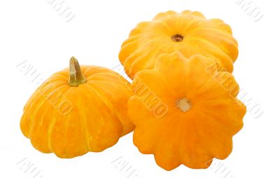 Three yellow squash, isolated 