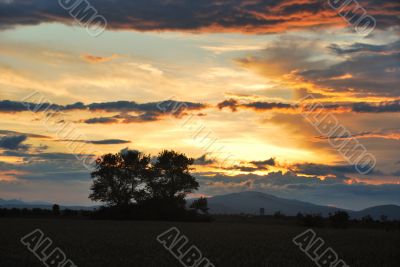 sunset and field