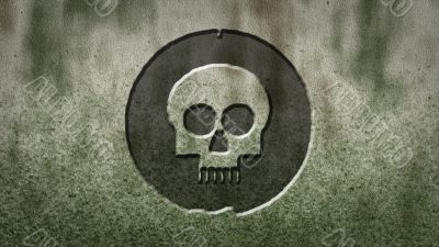 skull