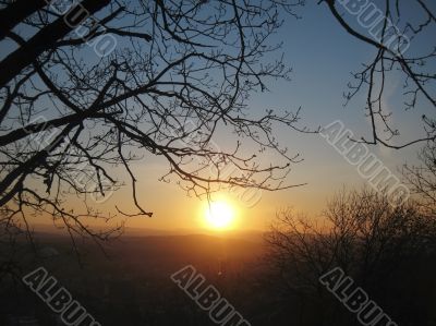Autumn sunset middle the trees. Fall in Pyatigorsk