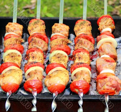 Image with fried meat, tomato and onion