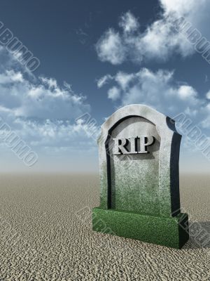 rest in peace