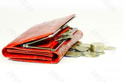 purse for money
