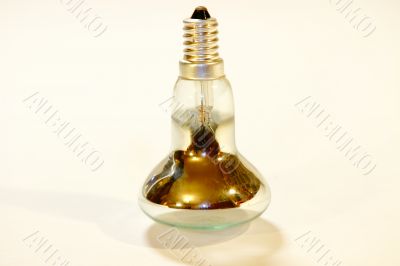 light bulb