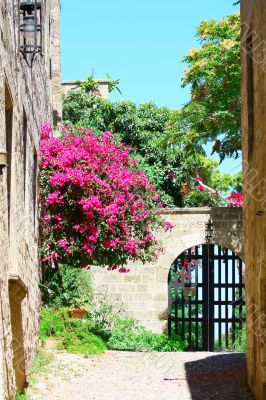 Medieval street in Old city of Rhodes