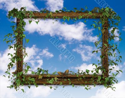 Vine Frame