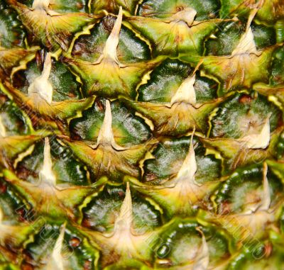Image of big appetizing pineapple background