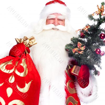 Christmas theme: Santa Claus holding christmas tree and his bag 