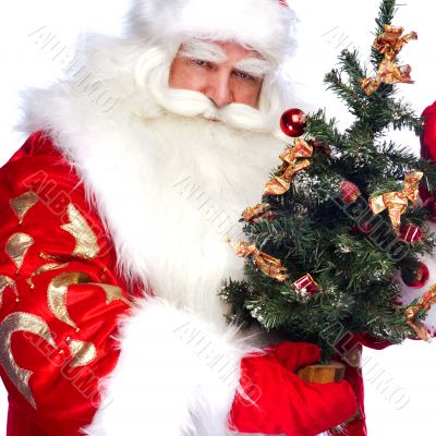 Christmas theme: Santa Claus holding christmas tree and his bag 