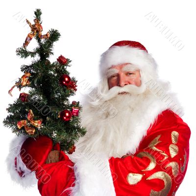 Christmas theme: Santa Claus holding christmas tree and his bag 