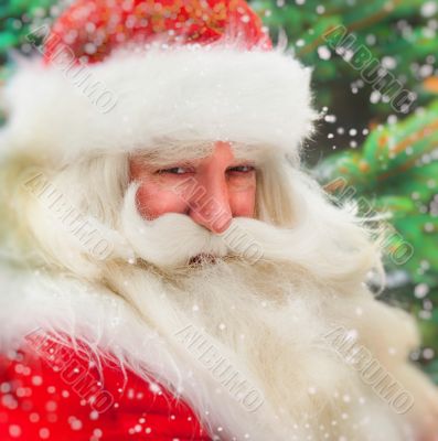 Santa Claus portrait smiling against christmas tree outdoor in s
