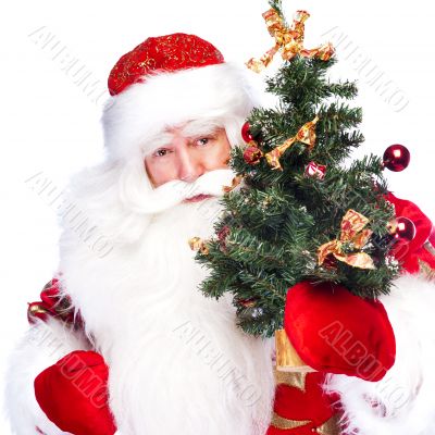 Christmas theme: Santa Claus holding christmas tree and his bag 