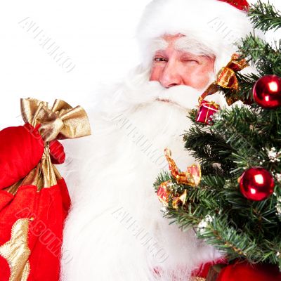 Christmas theme: Santa Claus holding christmas tree and his bag 
