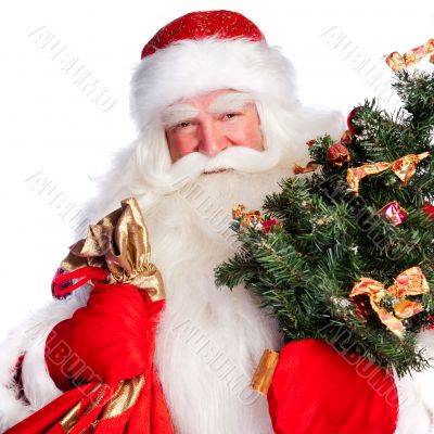 Christmas theme: Santa Claus holding christmas tree and his bag 