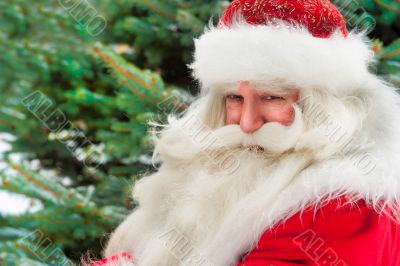 Santa Claus portrait smiling against christmas tree outdoor in s