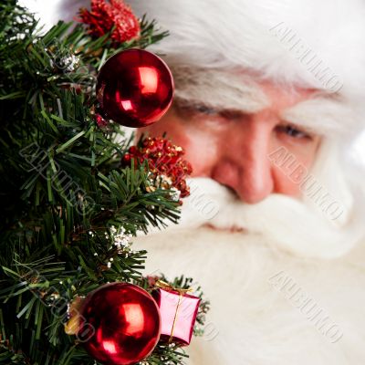 Christmas theme: Santa Claus holding christmas tree and his bag 