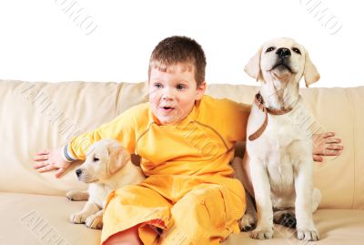 Handsome Young Boy Playing with His Two Dogs Against White Backg