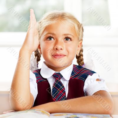 Portrait of a young girl in school at the desk.Horizontal Shot. 