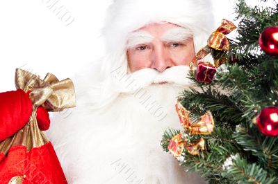 Christmas theme: Santa Claus holding christmas tree and his bag 