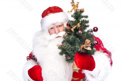 Christmas theme: Santa Claus holding christmas tree and his bag 