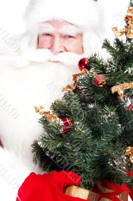 Christmas theme: Santa Claus holding christmas tree and his bag 