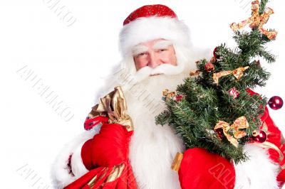 Christmas theme: Santa Claus holding christmas tree and his bag 