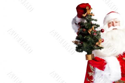 Christmas theme: Santa Claus holding christmas tree and his bag 