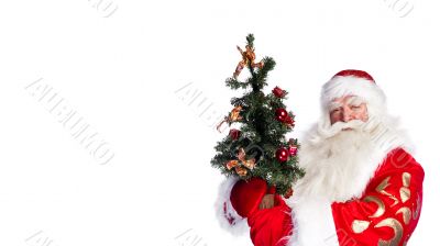 Christmas theme: Santa Claus holding christmas tree and his bag 