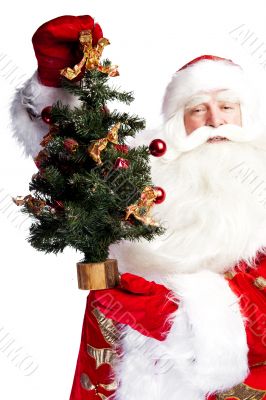 Christmas theme: Santa Claus holding christmas tree and his bag 