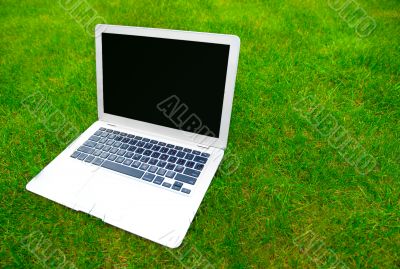 Laptop on grass