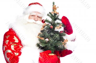 Christmas theme: Santa Claus holding christmas tree and his bag 