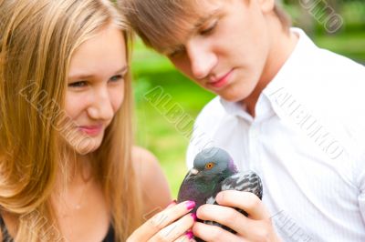 Portrait of young handsome couple holding a dove in park