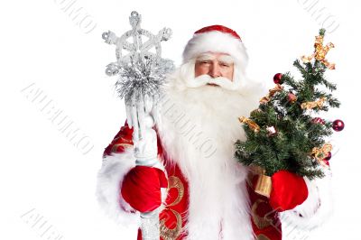 Christmas theme: Santa Claus holding christmas tree and his bag 