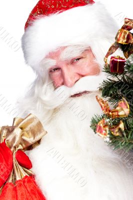 Christmas theme: Santa Claus holding christmas tree and his bag 