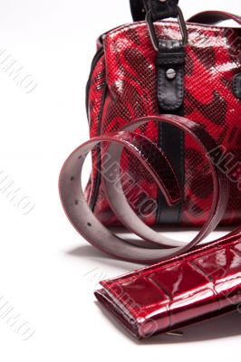Isolated handbag 