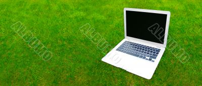 Laptop on grass