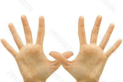 hand gestures isolated on a white