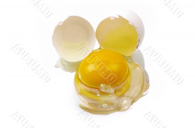 egg 