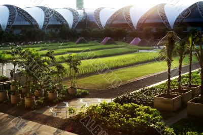 Bangkok airport