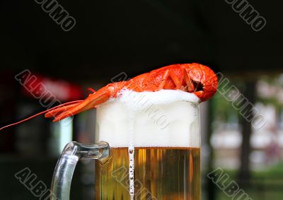 Red crawfish and beer
