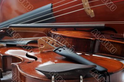 violins and cello