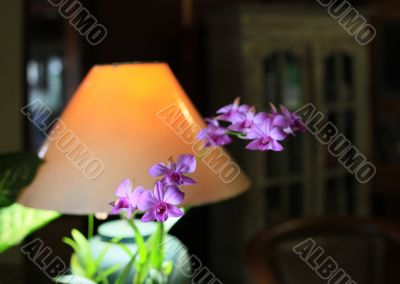 Lamp on a working table