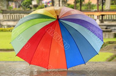 Rainbow umbrella