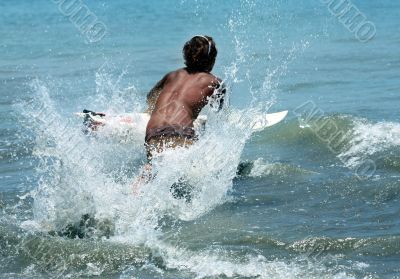 Surfer