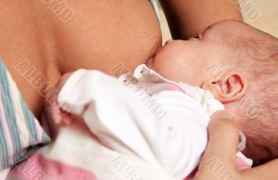 Feeding of the child
