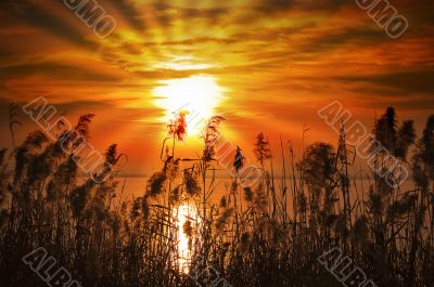 Sunset Lake - Garda Lake - Italy