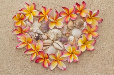 Frangipani/plumeria flowers in shape of heart, filled with sea shells