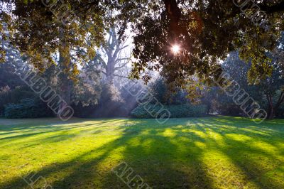 Park of castle of Chenonceau